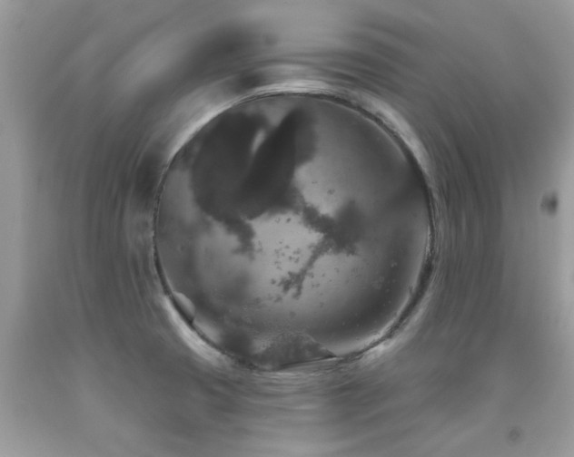 X0000091931425200709051452