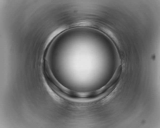 X0000091931426200709051452