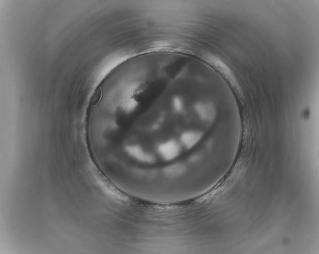 X0000091931427200709051452