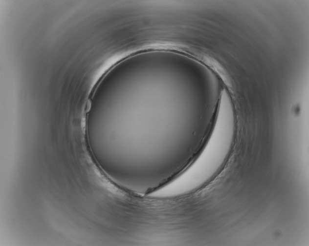 X0000091931428200709051452