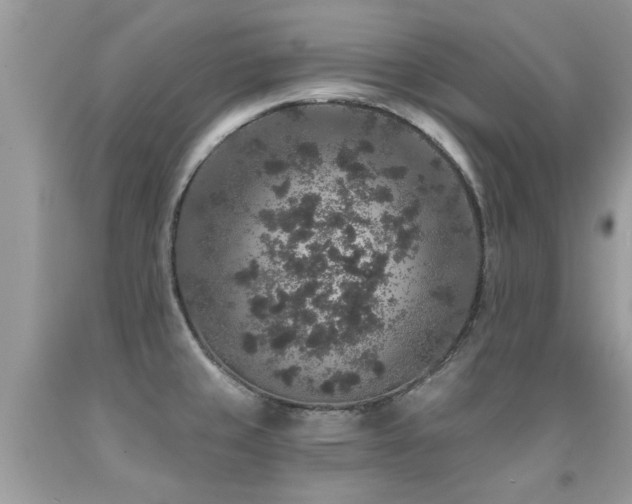 X0000091931429200709051452