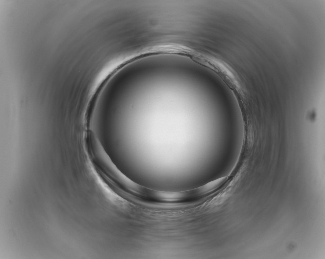 X0000091931430200709051452