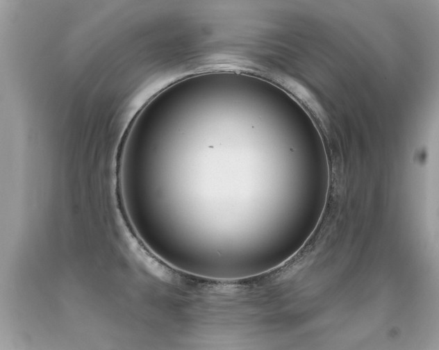 X0000091931431200709051452