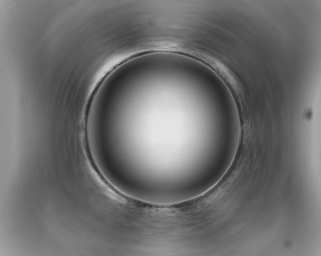 X0000091931432200709051452