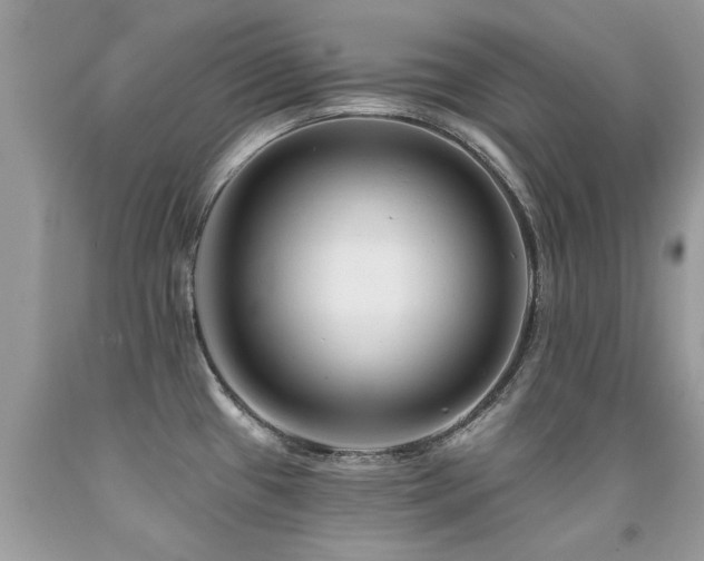 X0000091931433200709051452