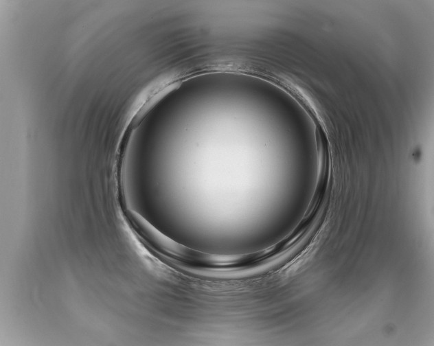 X0000091931434200709051452