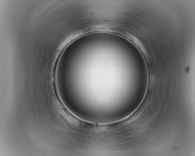 X0000091931435200709051452