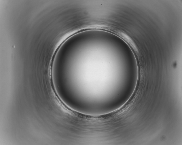 X0000091931436200709051452