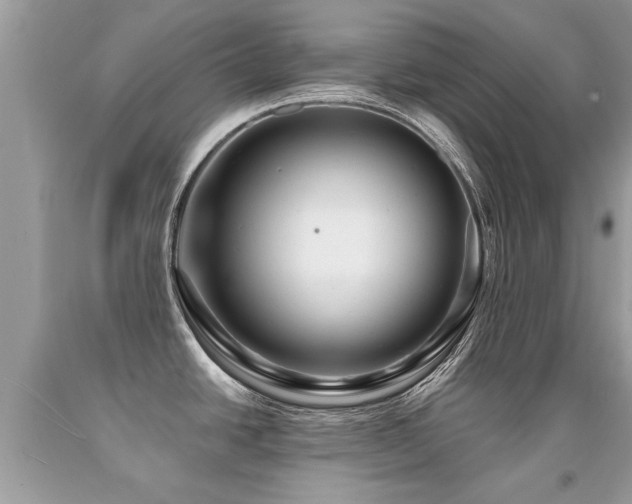 X0000091931438200709051452