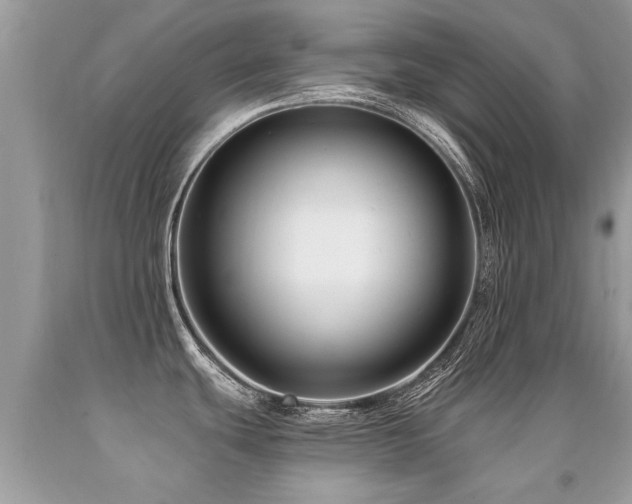 X0000091931439200709051452
