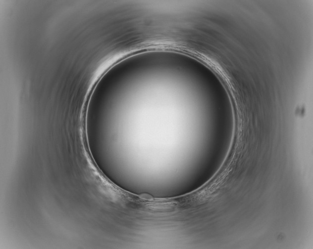 X0000091931440200709051452