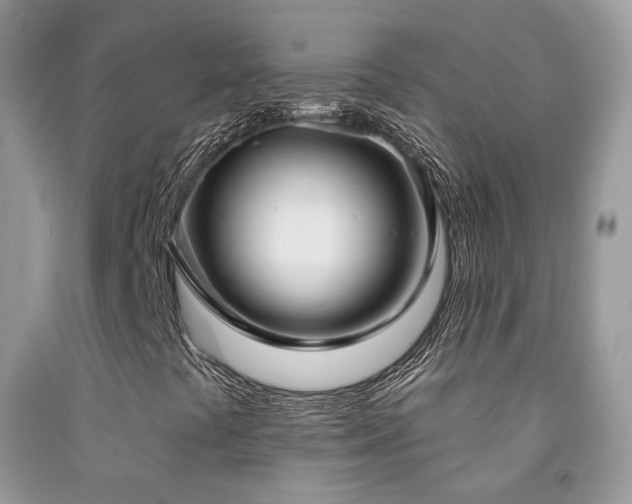 X0000091931441200709051451