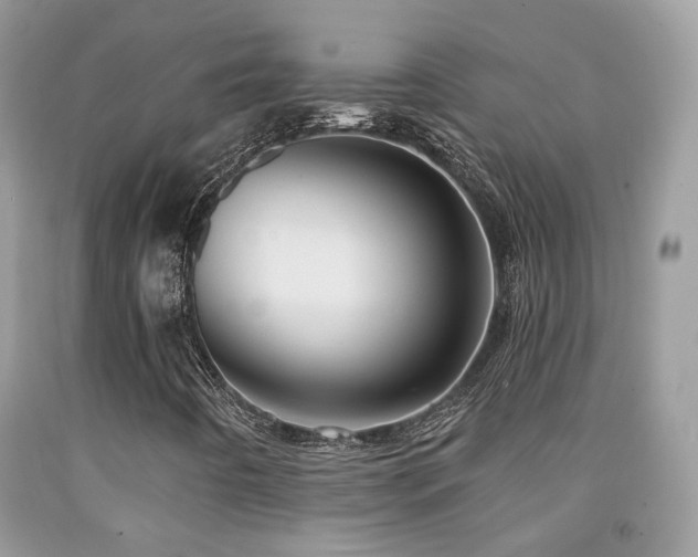X0000091931442200709051451