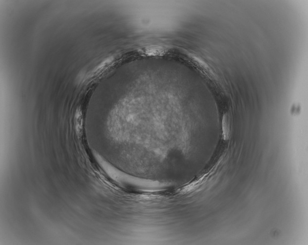 X0000091931443200709051451
