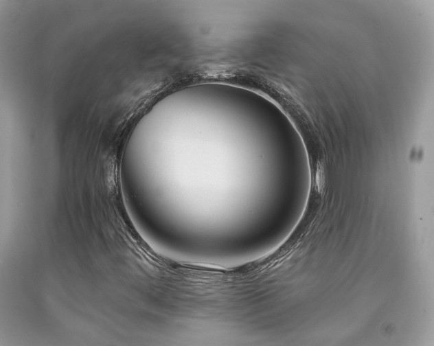 X0000091931444200709051451