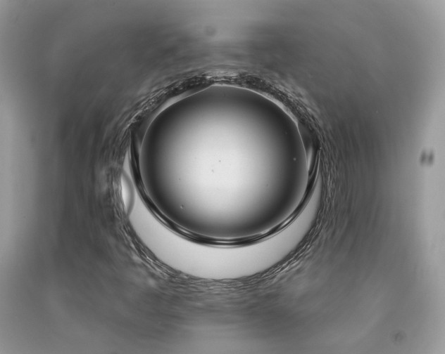 X0000091931445200709051451