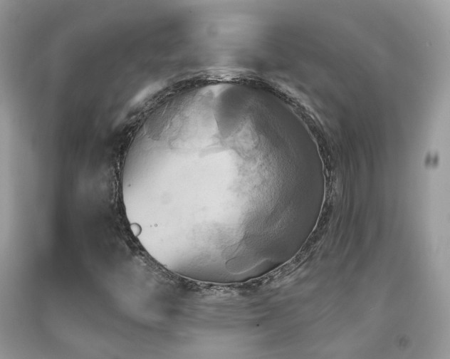 X0000091931446200709051451