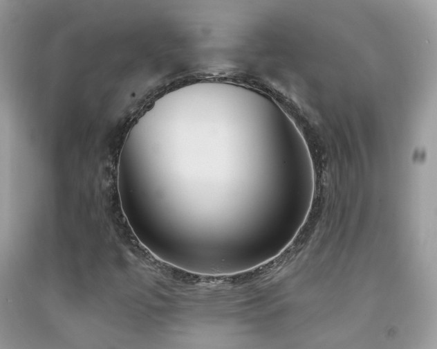 X0000091931447200709051451