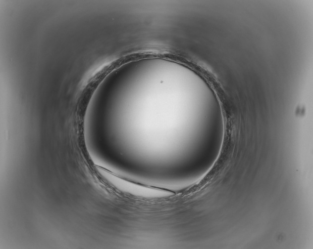 X0000091931448200709051451