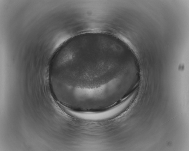 X0000091931450200709051451