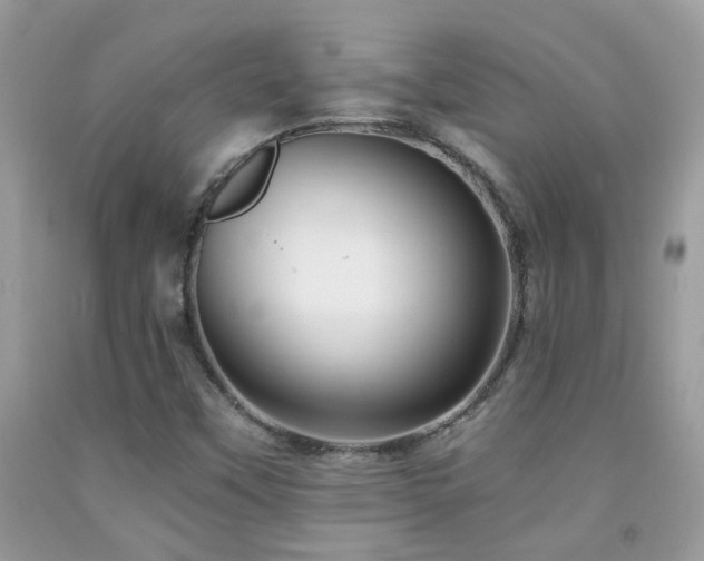 X0000091931451200709051451
