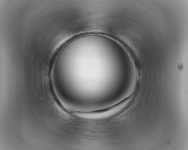 X0000091931452200709051451