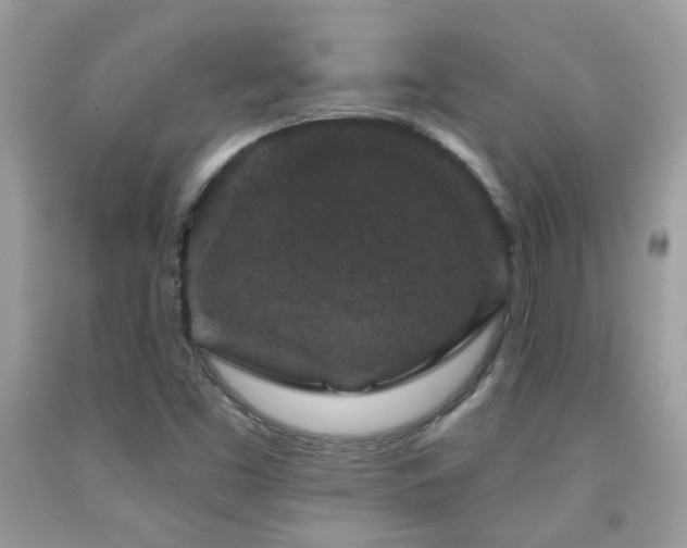 X0000091931453200709051451