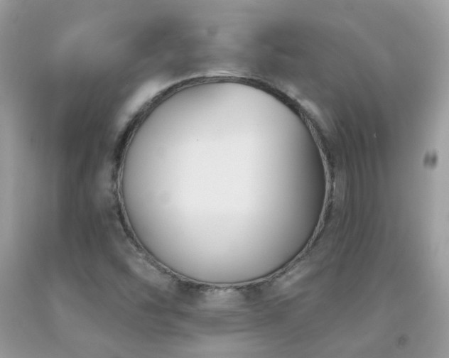 X0000091931454200709051451