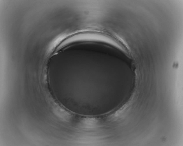 X0000091931455200709051451