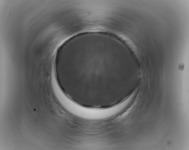 X0000091931457200709051451