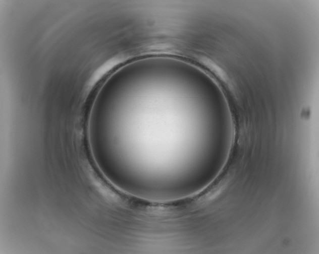 X0000091931458200709051451