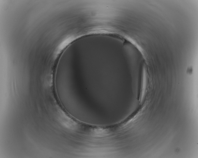 X0000091931459200709051451