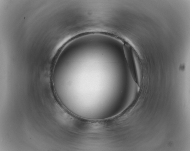 X0000091931460200709051451