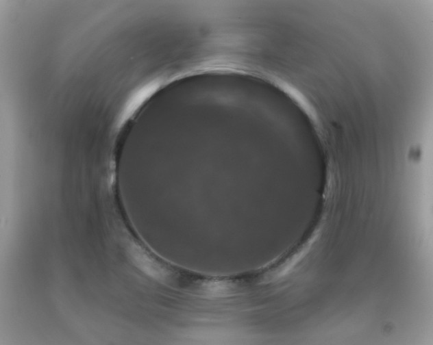 X0000091931461200709051451
