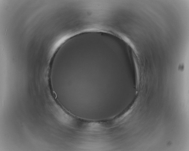 X0000091931463200709051451