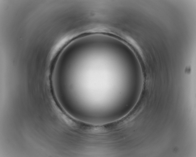 X0000091931464200709051451