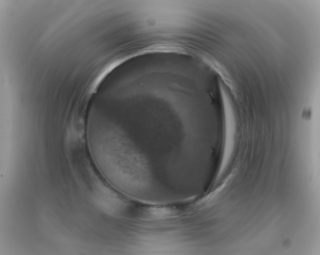 X0000091931465200709051451