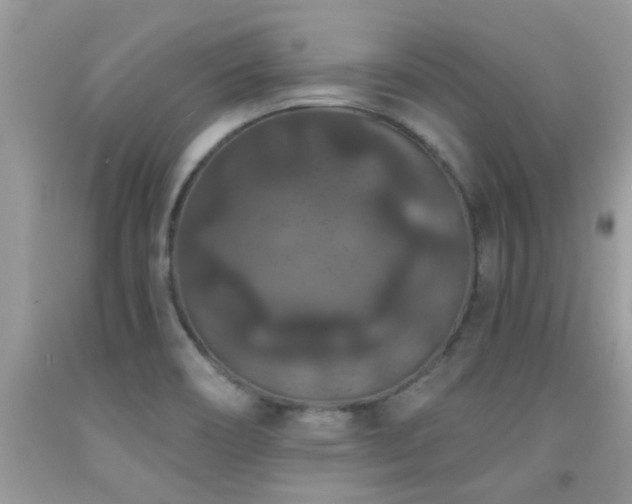 X0000091931466200709051451