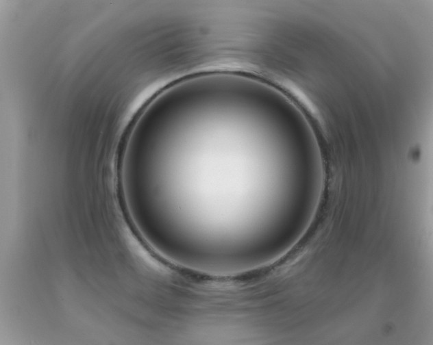 X0000091931468200709051451