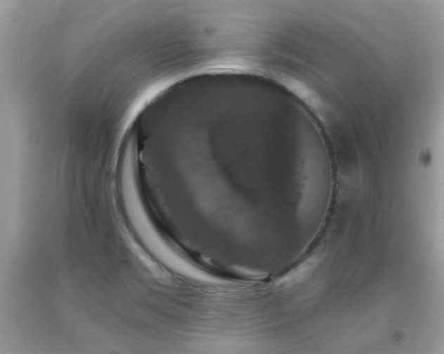 X0000091931469200709051451