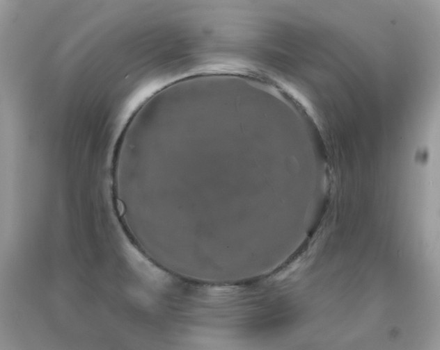 X0000091931471200709051451