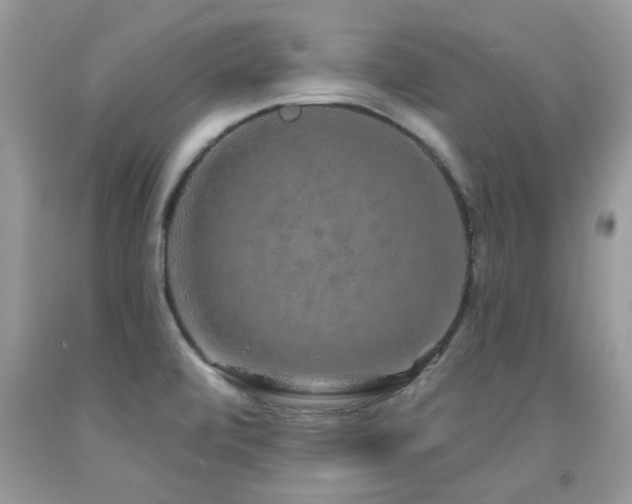 X0000091931472200709051451