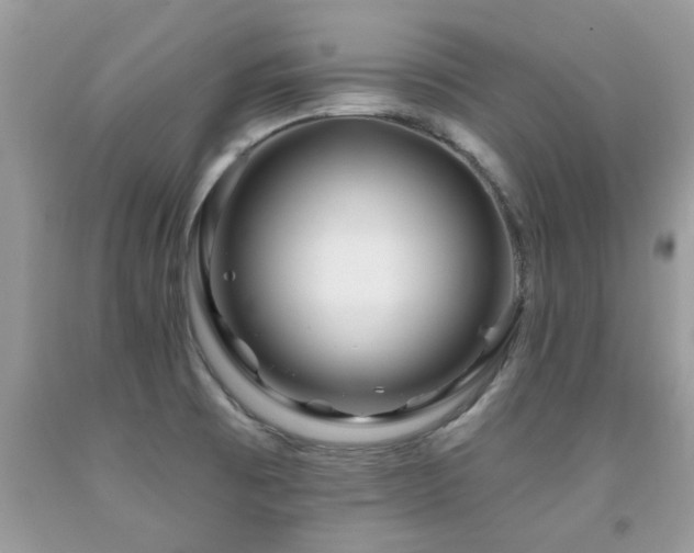 X0000091931473200709051451