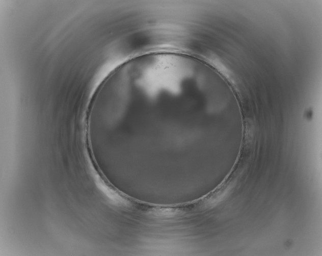 X0000091931474200709051451