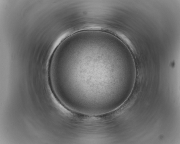 X0000091931475200709051451