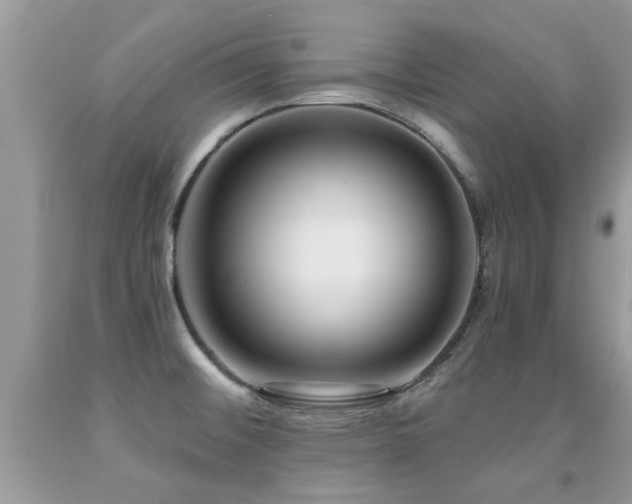 X0000091931476200709051451
