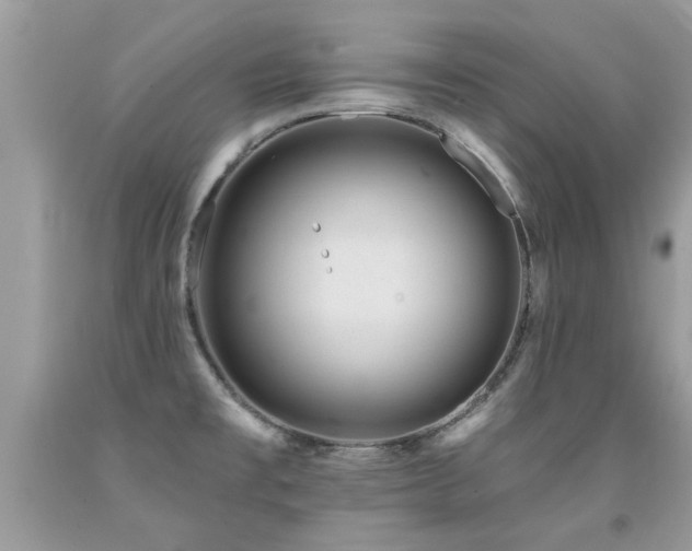 X0000091931477200709051451