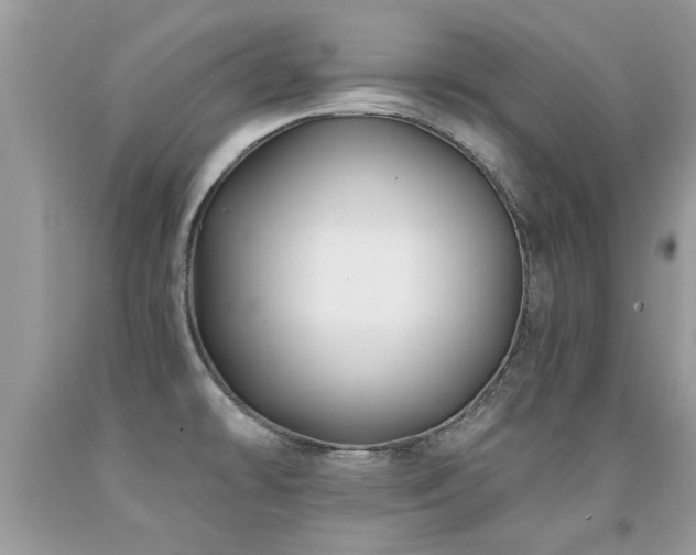 X0000091931478200709051451