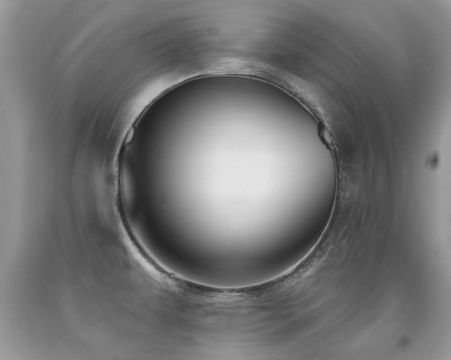 X0000091931479200709051451