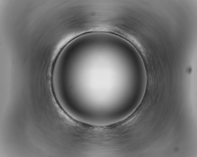 X0000091931480200709051451